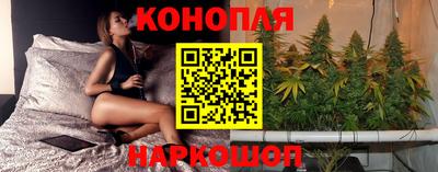 прущие крисы Ирбит