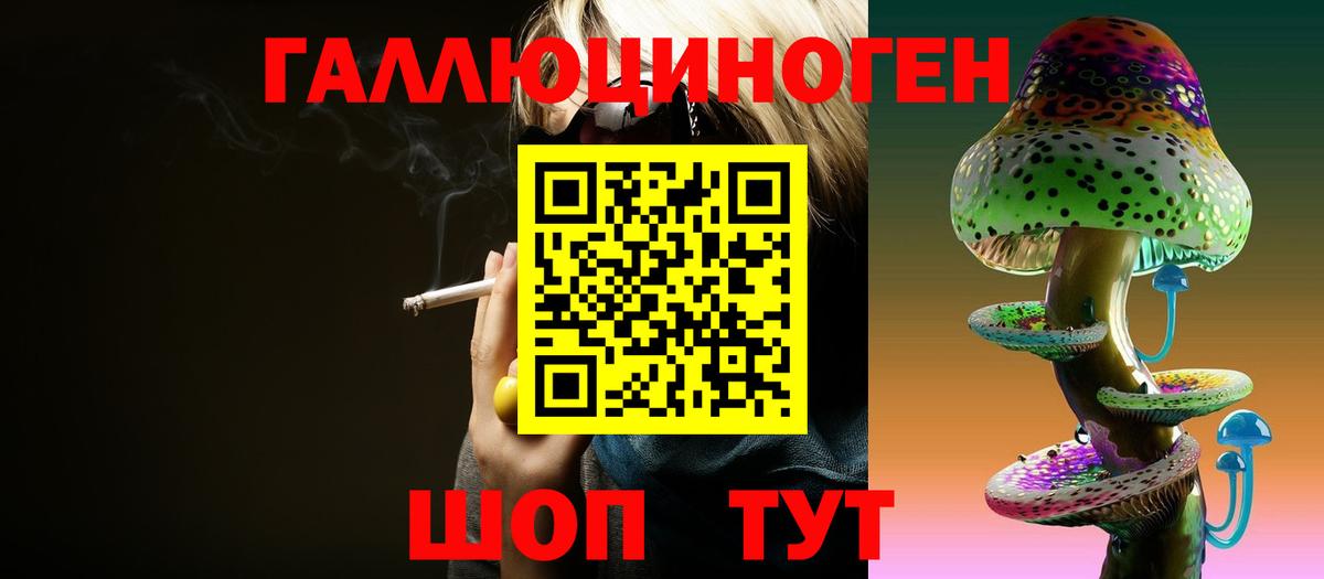 Омск  Галлюциногенные грибы Psilocybine cubensis  Вход с VPN 